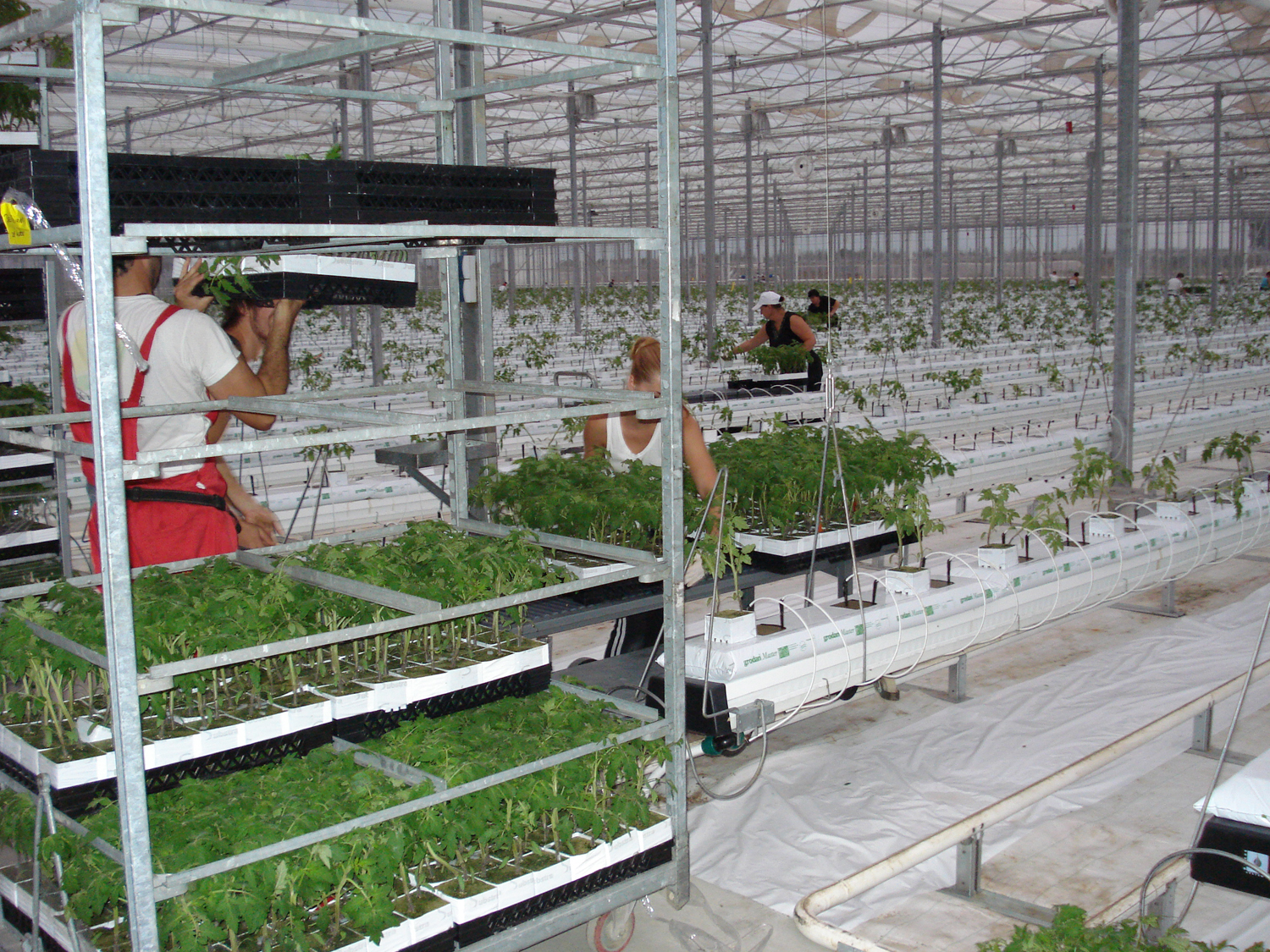 AGRITEX ΕΝΕΡΓΕΙΑΚΗ Α.Ε. - ΕΝΑΡΞΗ ΝΕΑΣ ΚΑΛΛΙΕΡΓΗΤΙΚΗΣ ΠΕΡΙΟΔΟΥ 2010